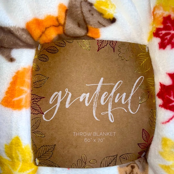 Super Soft Blanket with Dachshunds, Chihuahuas and more! 🐾 ☺️ - Picture 5 of 5